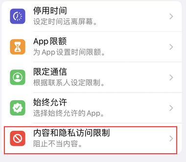 沅陵appleID维修服务iPhone设置中Apple ID显示为灰色无法使用