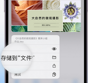 沅陵apple维修中心分享iPhone文件应用中存储和找到下载文件