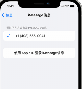 沅陵apple维修iPhone上无法正常发送iMessage信息 