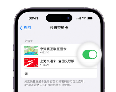 沅陵apple维修点分享iPhone上更换Apple Pay快捷交通卡手绘卡面 