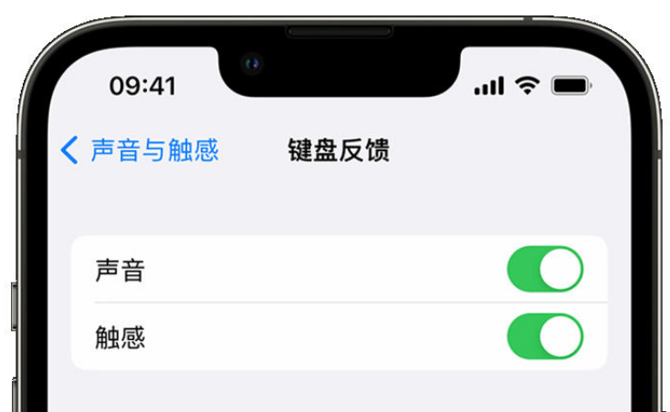 沅陵苹果手机维修分享iPhone 14触感键盘使用方法 