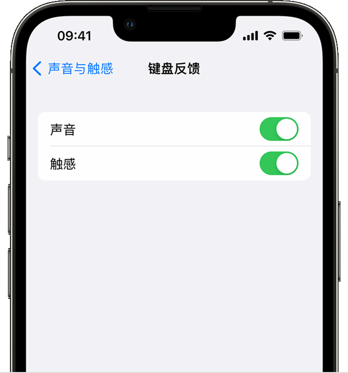 沅陵苹果14维修店分享如何在 iPhone 14 机型中使用触感键盘 