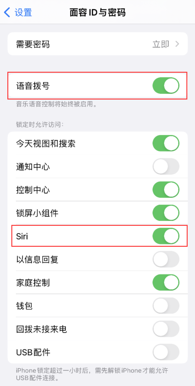 沅陵苹果维修网点分享不解锁 iPhone 的情况下通过 Siri 拨打电话的方法 