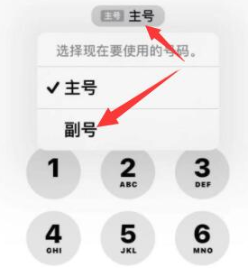 沅陵苹果14维修店分享iPhone 14 Pro Max使用副卡打电话的方法 