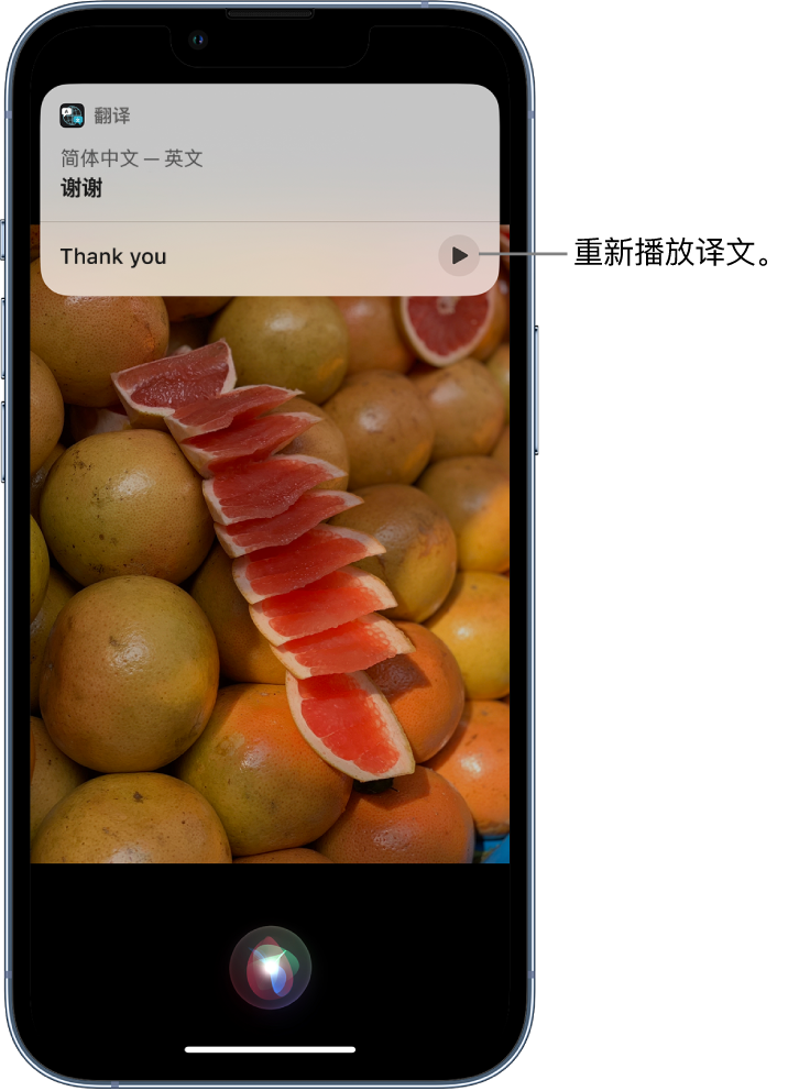 沅陵苹果14维修分享 iPhone 14 机型中使用 Siri：了解 Siri 能帮你做什么 