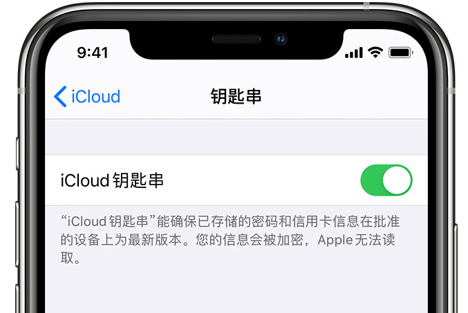 沅陵苹果手机维修分享在 iPhone 上开启 iCloud 钥匙串之后会储存哪些信息 